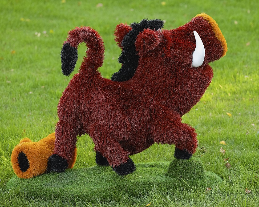 Топиари кабан Валери - газон Eco - вид 4