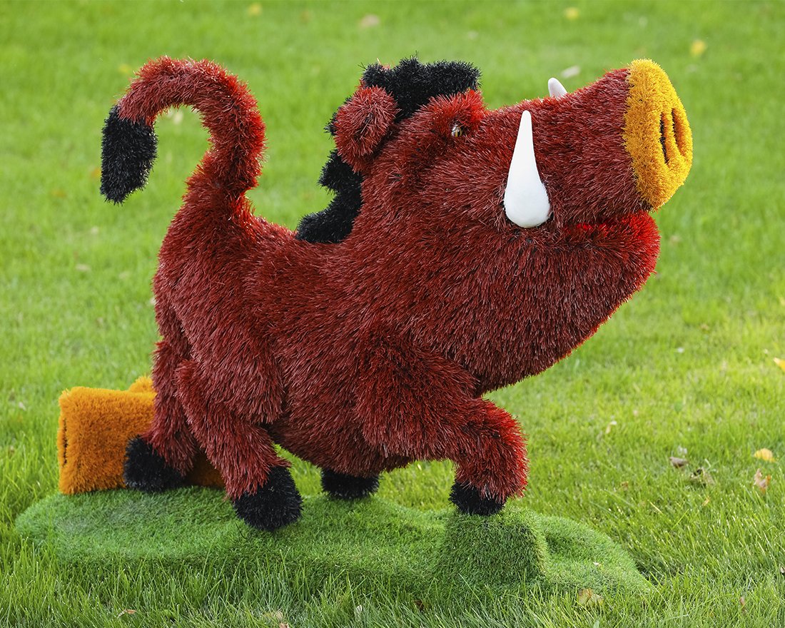 Топиари кабан Валери - газон Eco - вид 3