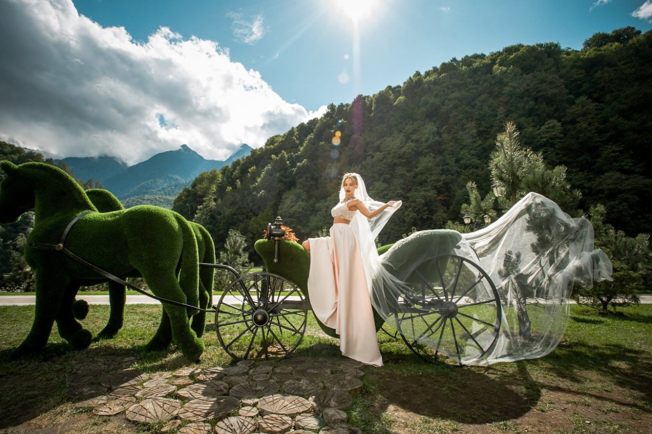 Топиари Карета запряженная лошадьми - вид 4