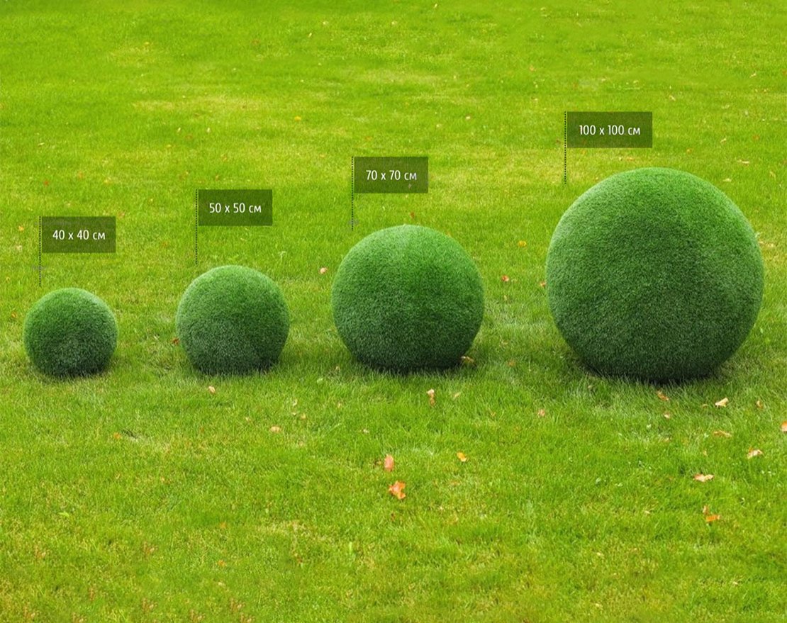 Топиари композиция шары в виде куста туи, 4 шт - газон Eco - вид 3