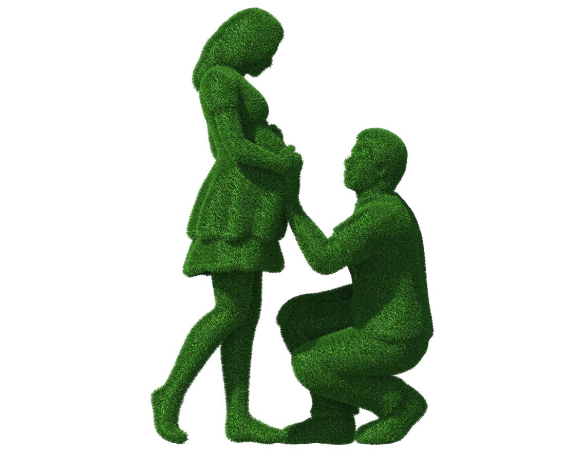 Топиари композиция в ожидании - газон Есо - вид 5