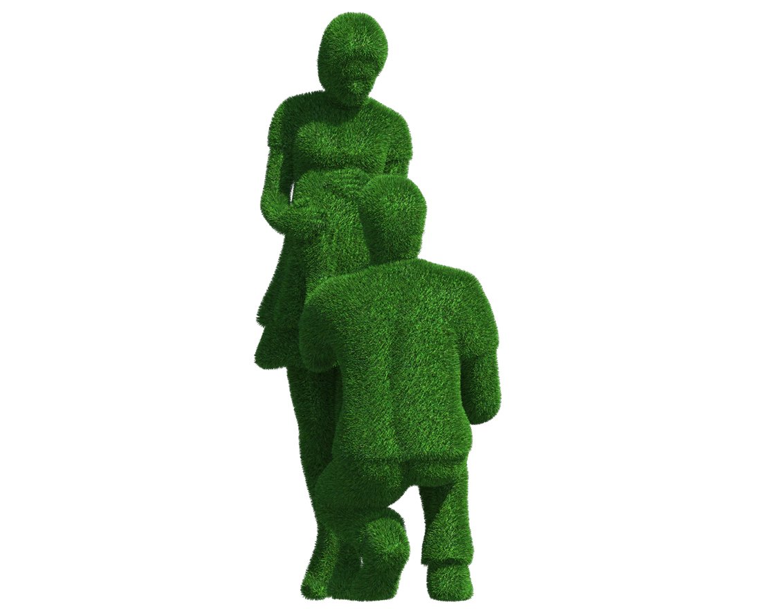 Топиари композиция в ожидании - газон Есо - вид 4