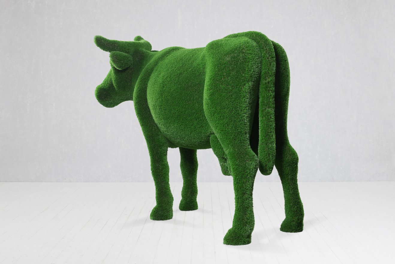 Топиари Корова - вид 5