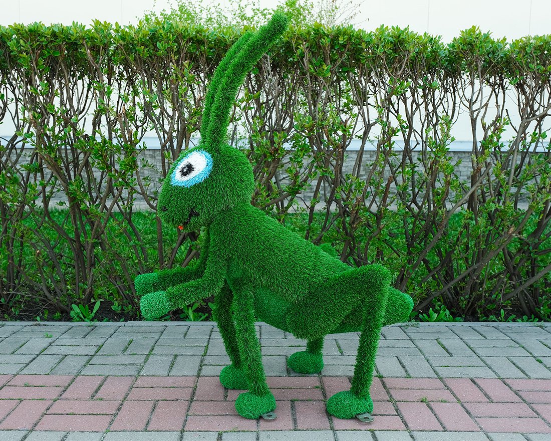 Топиари кузнечик Рики - газон Eco - вид 3