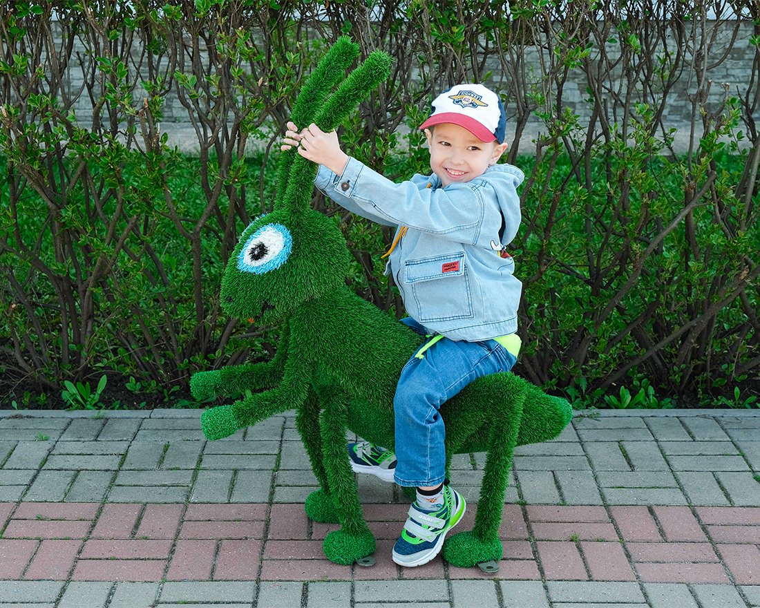 Топиари кузнечик Рики - газон Eco - вид 2