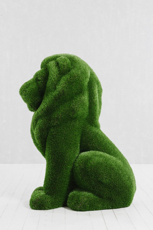 Топиари Лев - вид 4