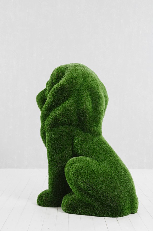 Топиари Лев - вид 5