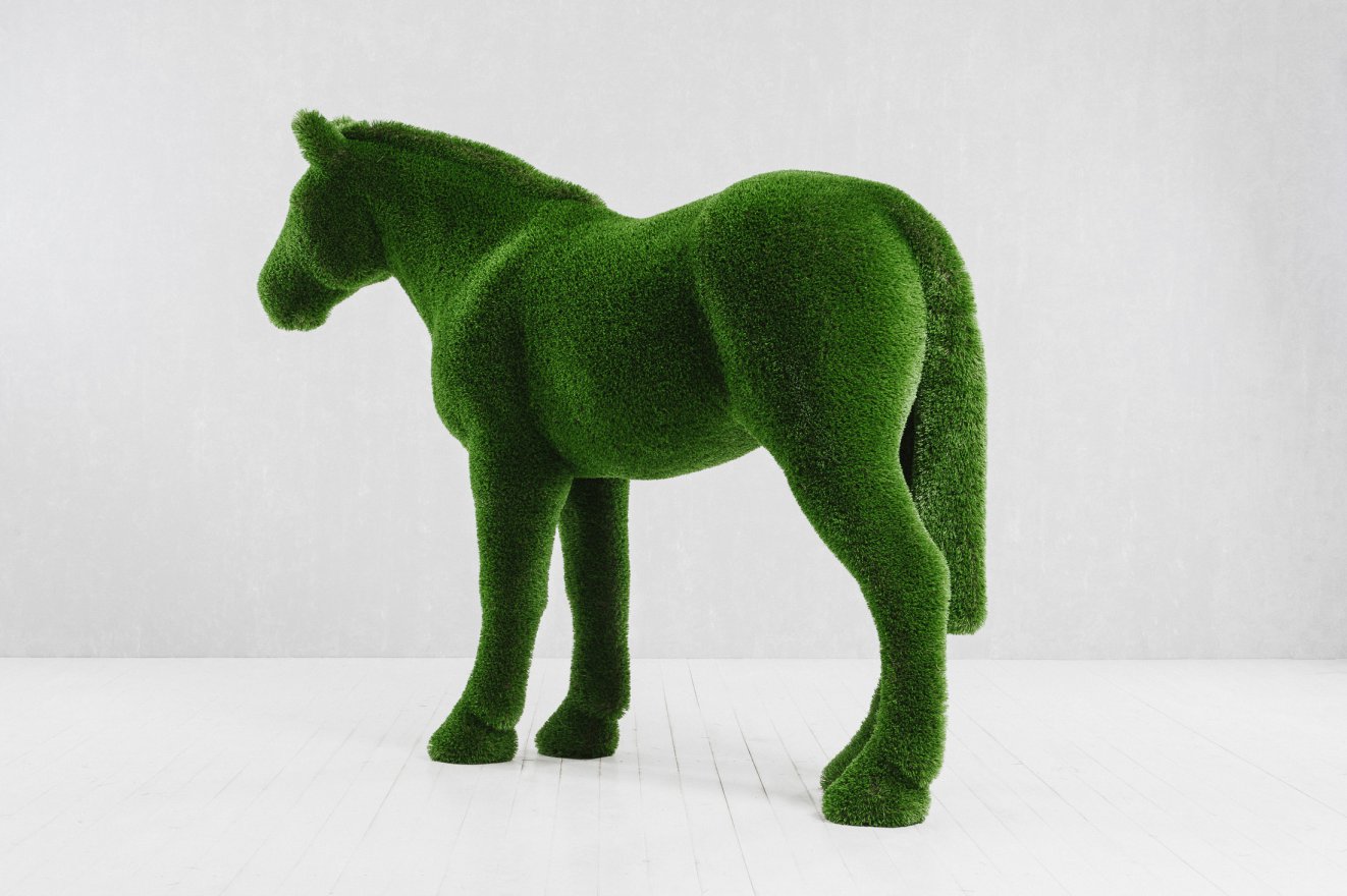 Топиари Лошадь - вид 4