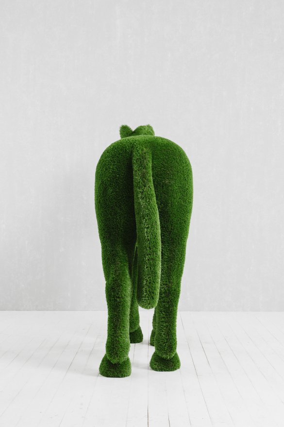 Топиари Лошадь - вид 5