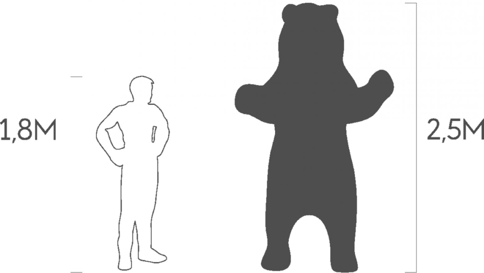 Топиари Медведь большой стоячий - вид 4