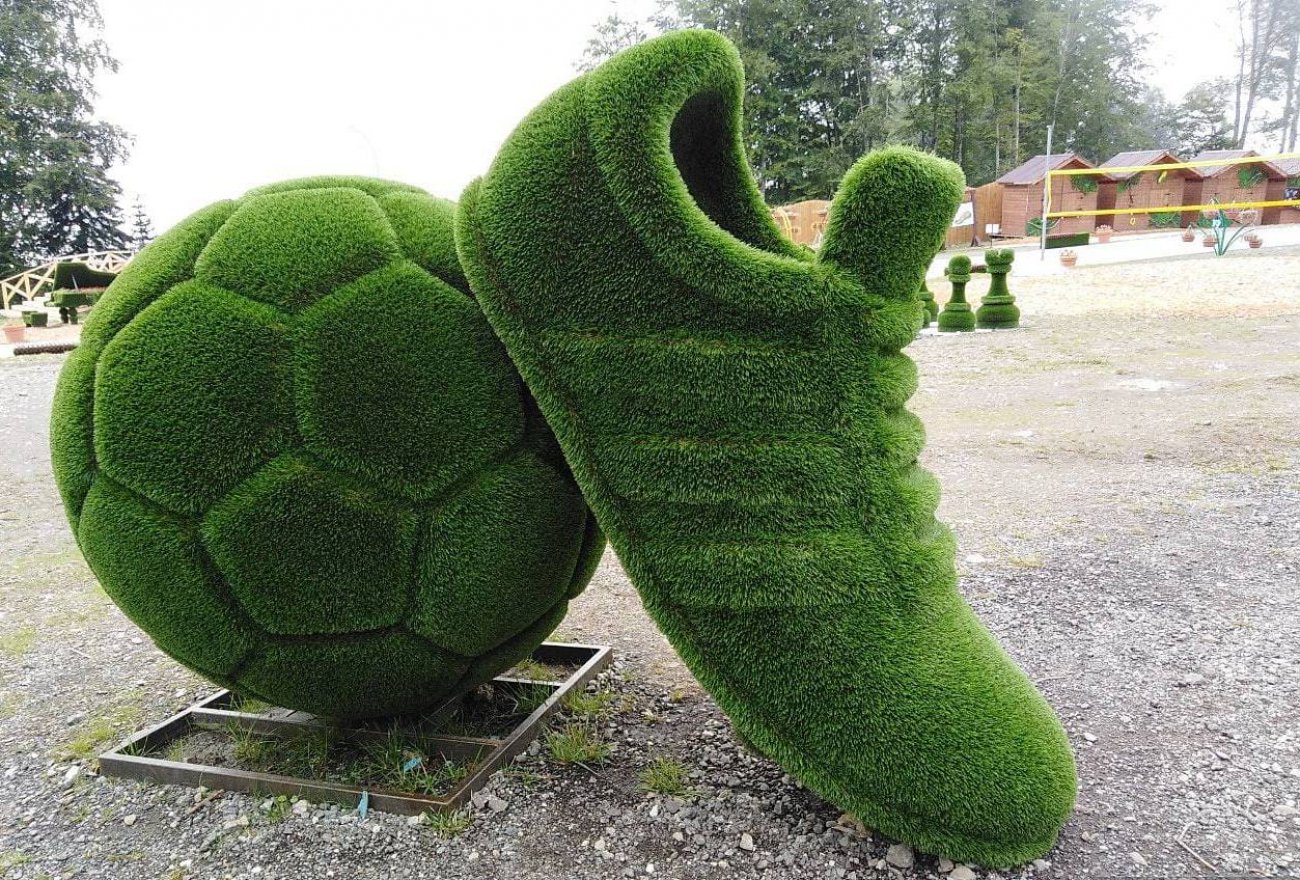 Топиари Мяч и бутса - вид 4