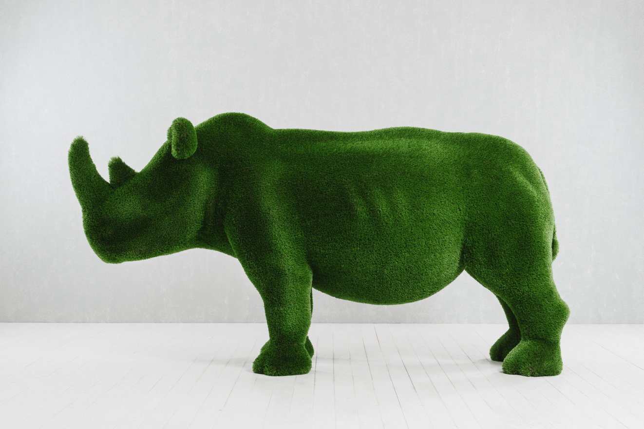 Топиари Носорог - вид 3