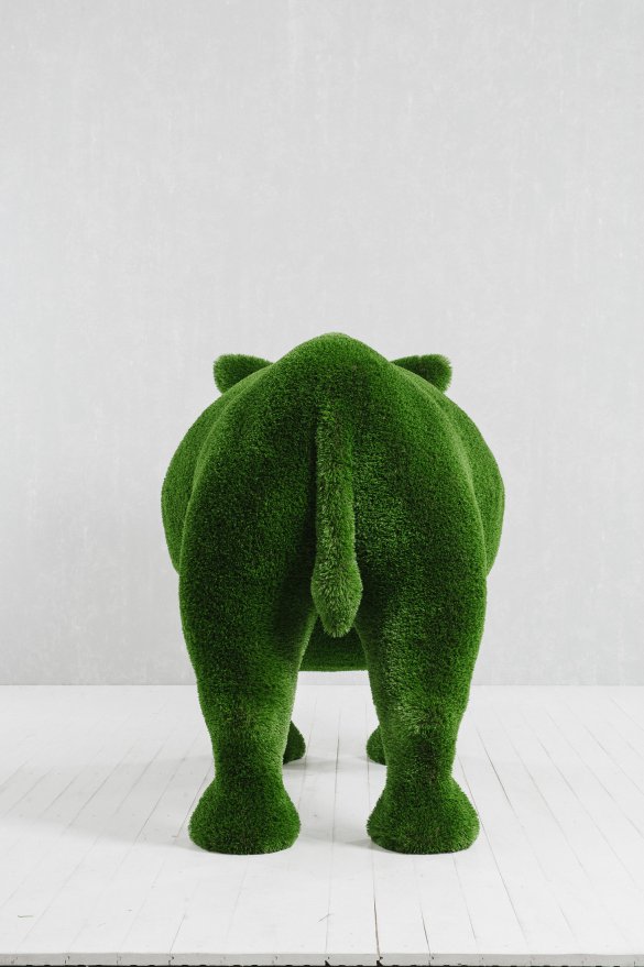 Топиари Носорог - вид 5