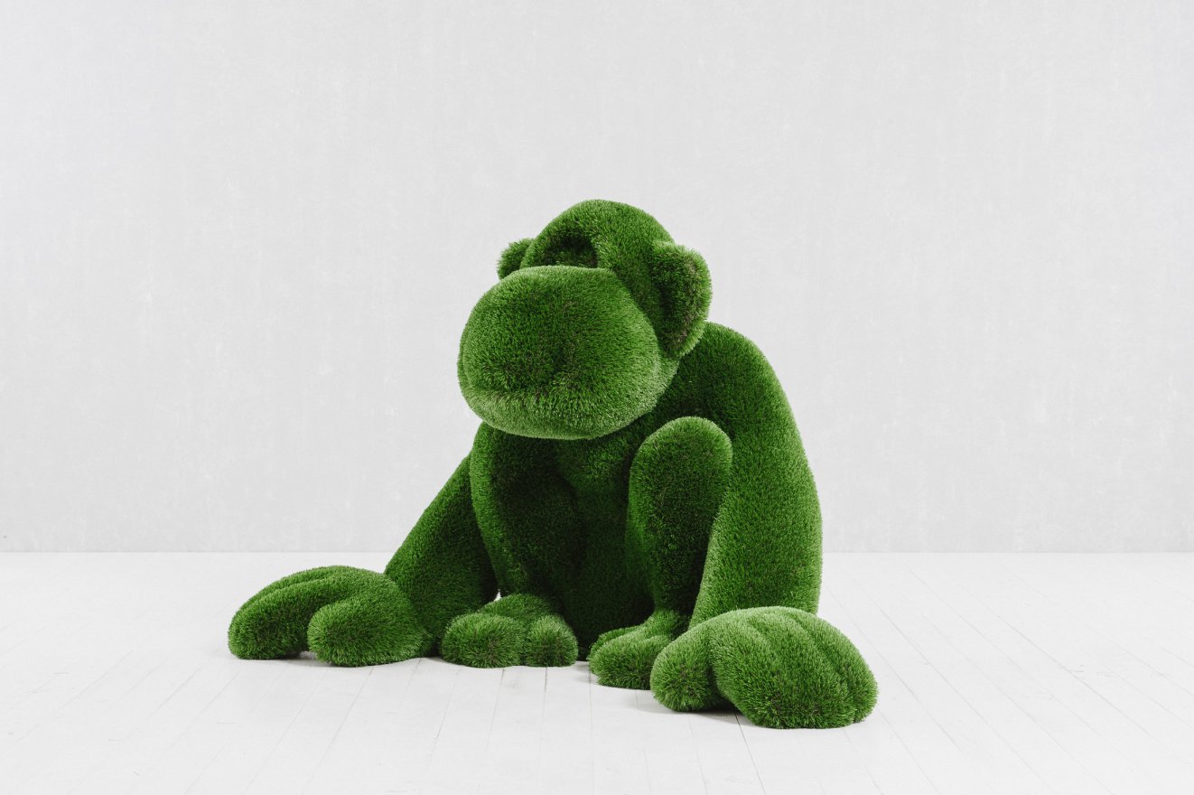 Топиари Обезьяна - вид 3