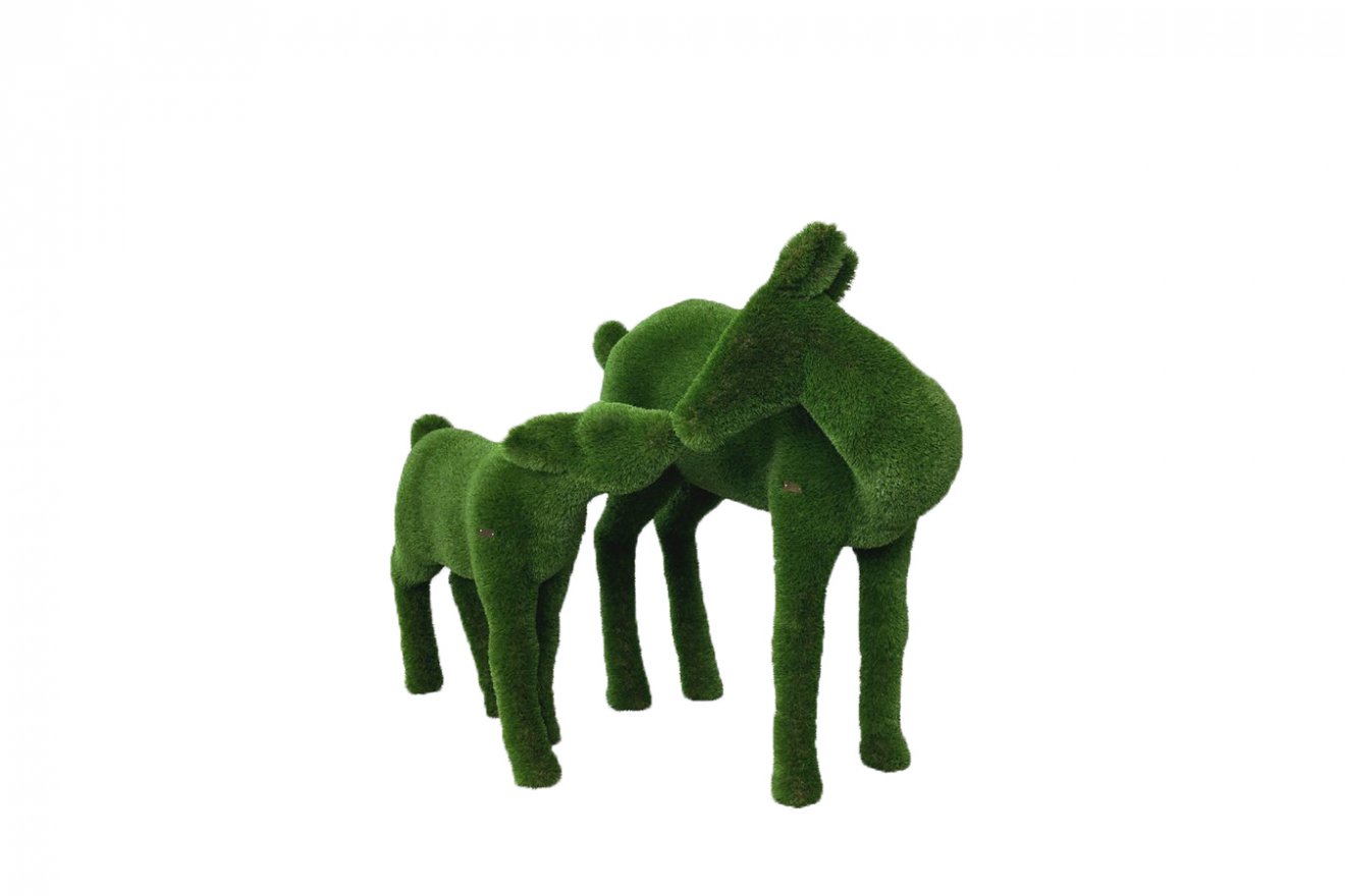 Топиари Олениха - вид 5