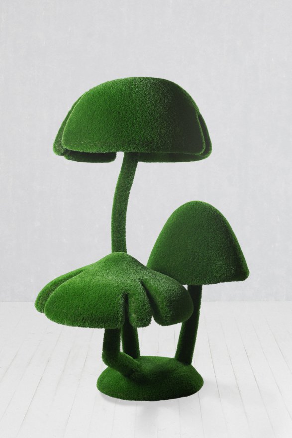 Топиари Опята средние - вид 3