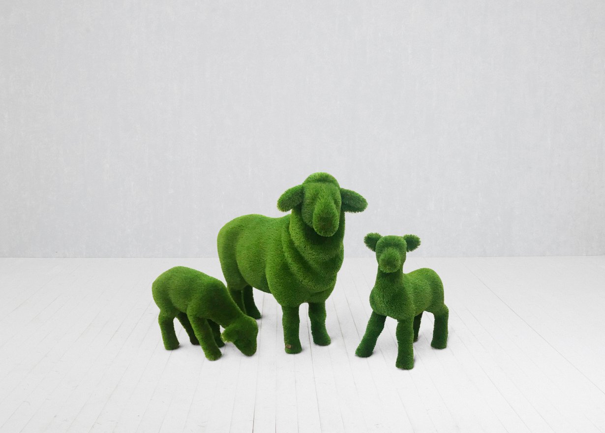 Топиари Овечка - вид 4