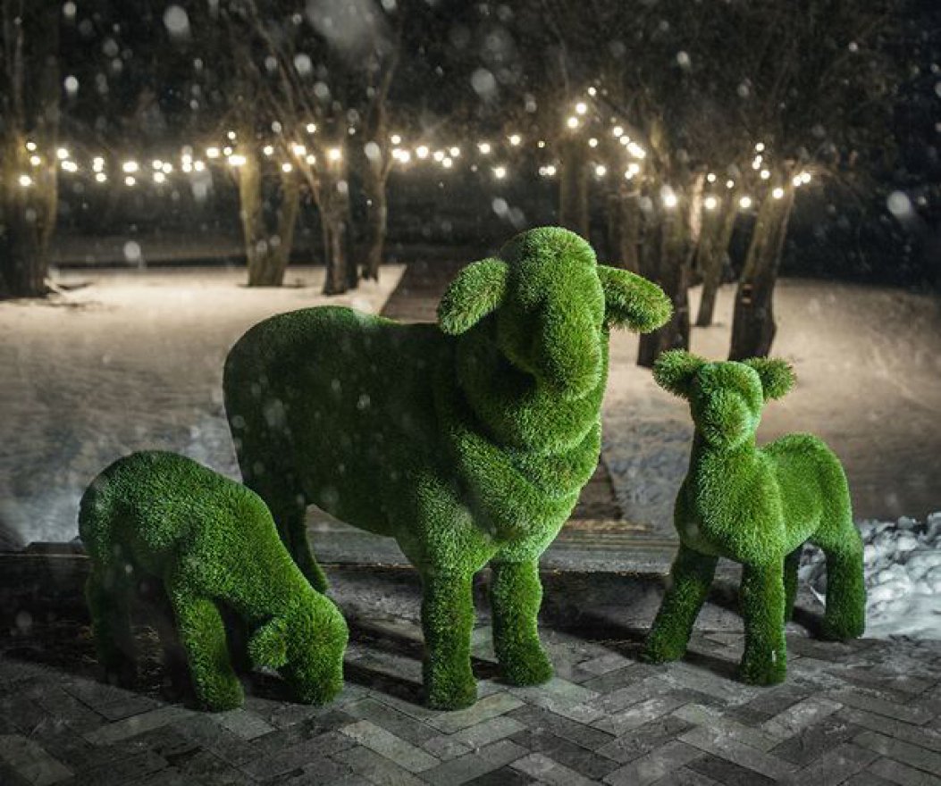 Топиари Овечка - вид 5