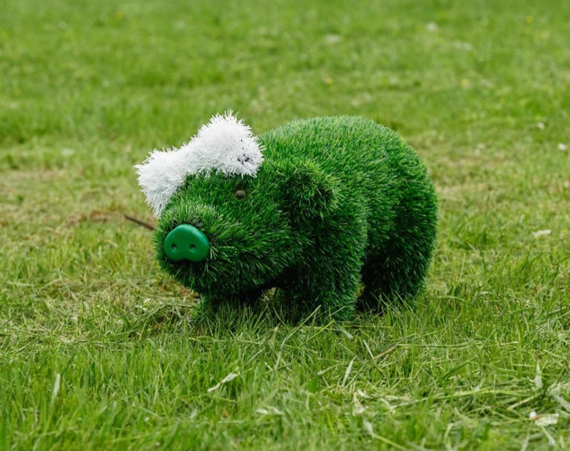 Топиари Поросенок в кепке - газон Eco - вид 3