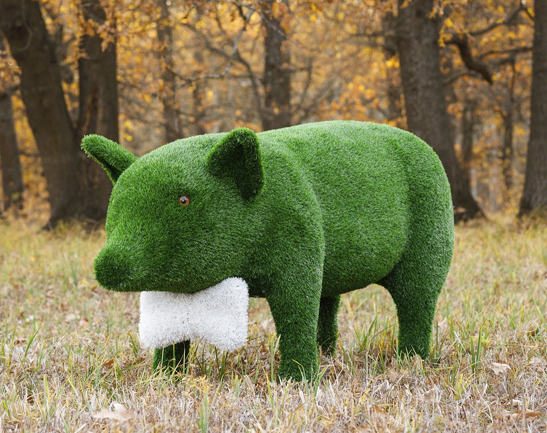 Топиари Поросенок в панаме - газон Eco - вид 4