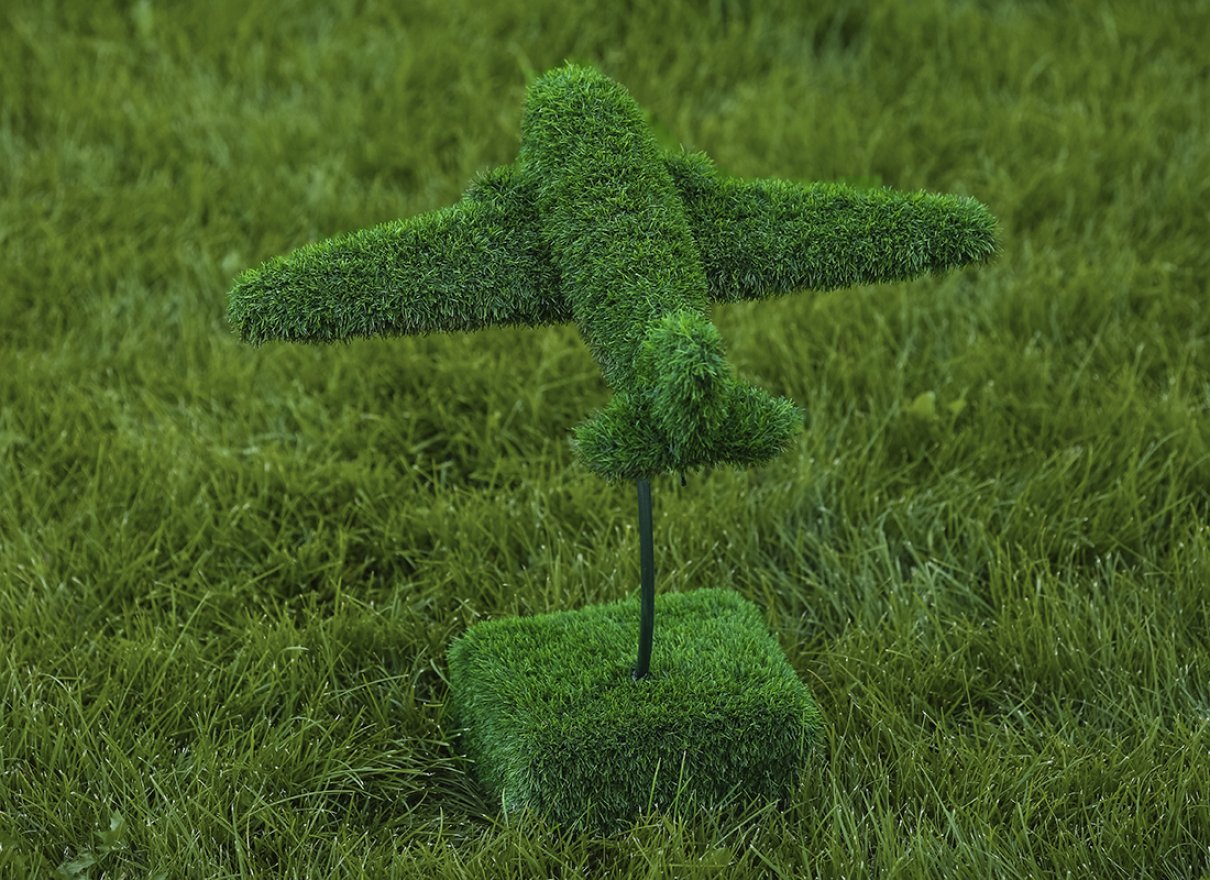 Топиари Самолет - газон Eco - вид 4