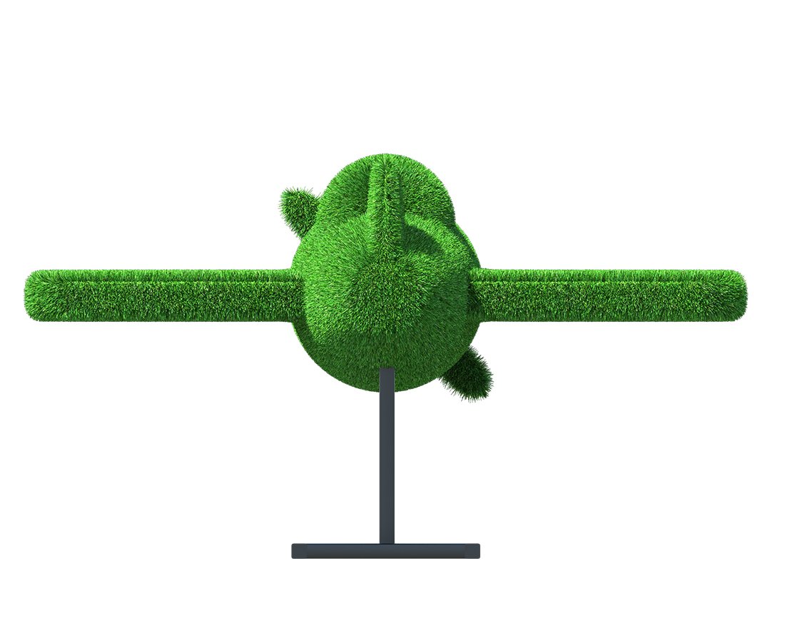 Топиари Самолет, L=150см - газон Eco - вид 4