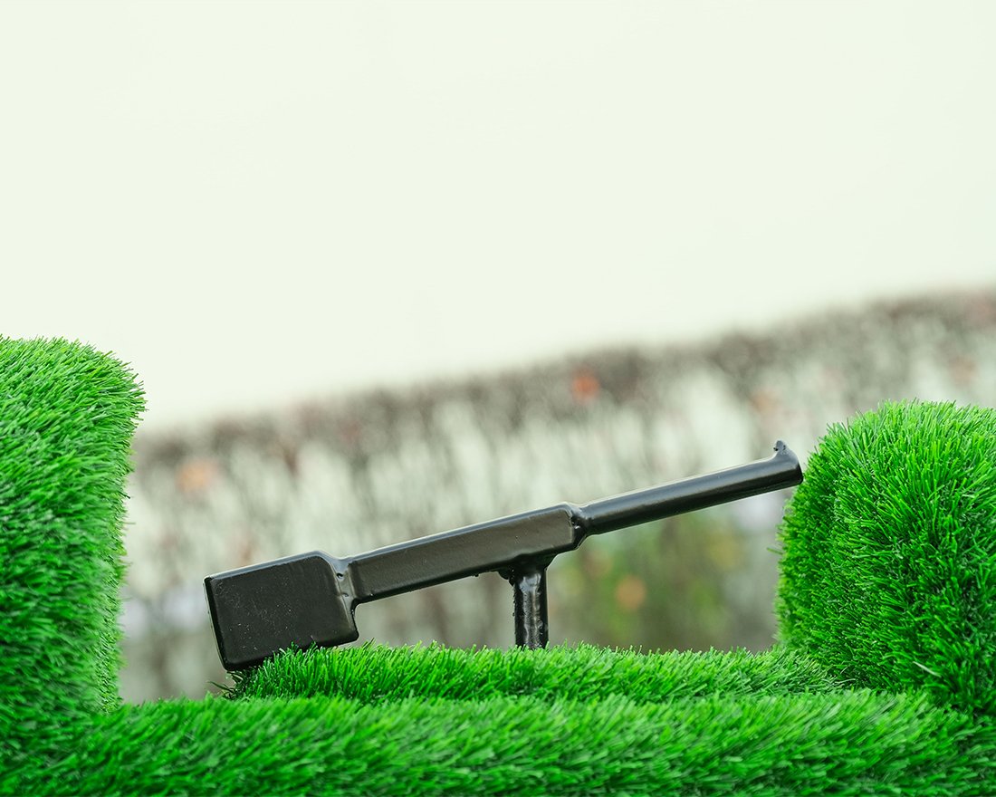 Топиари Самолет Победа - газон Eco - вид 5