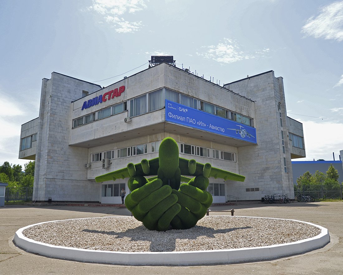 Топиари Самолет в ладонях - газон Есо - вид 3