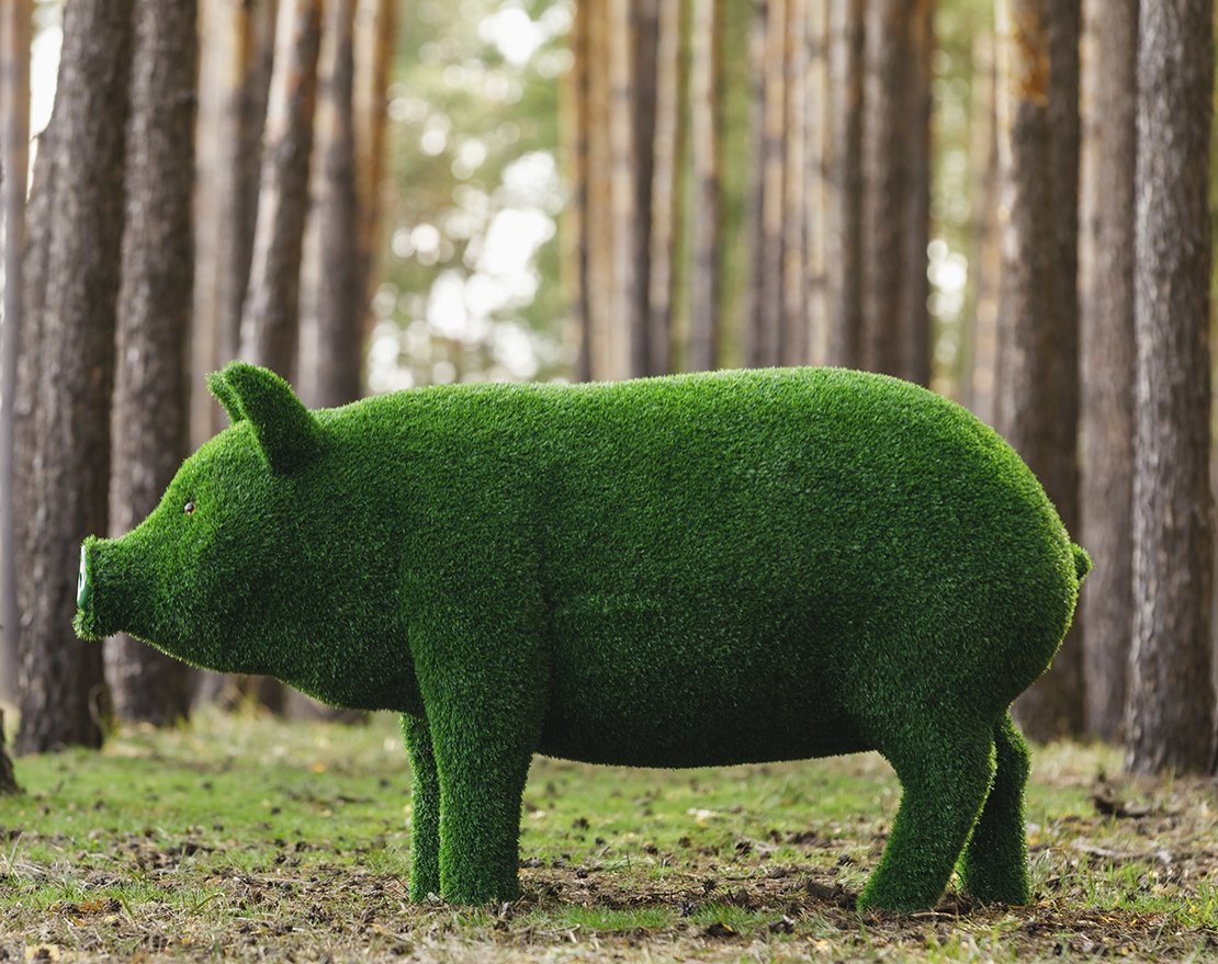 Топиари свинка Мама - газон Eco - вид 2