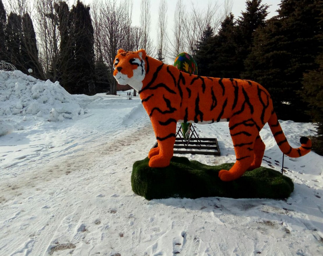 Топиари Тигр - газон Eco - вид 4