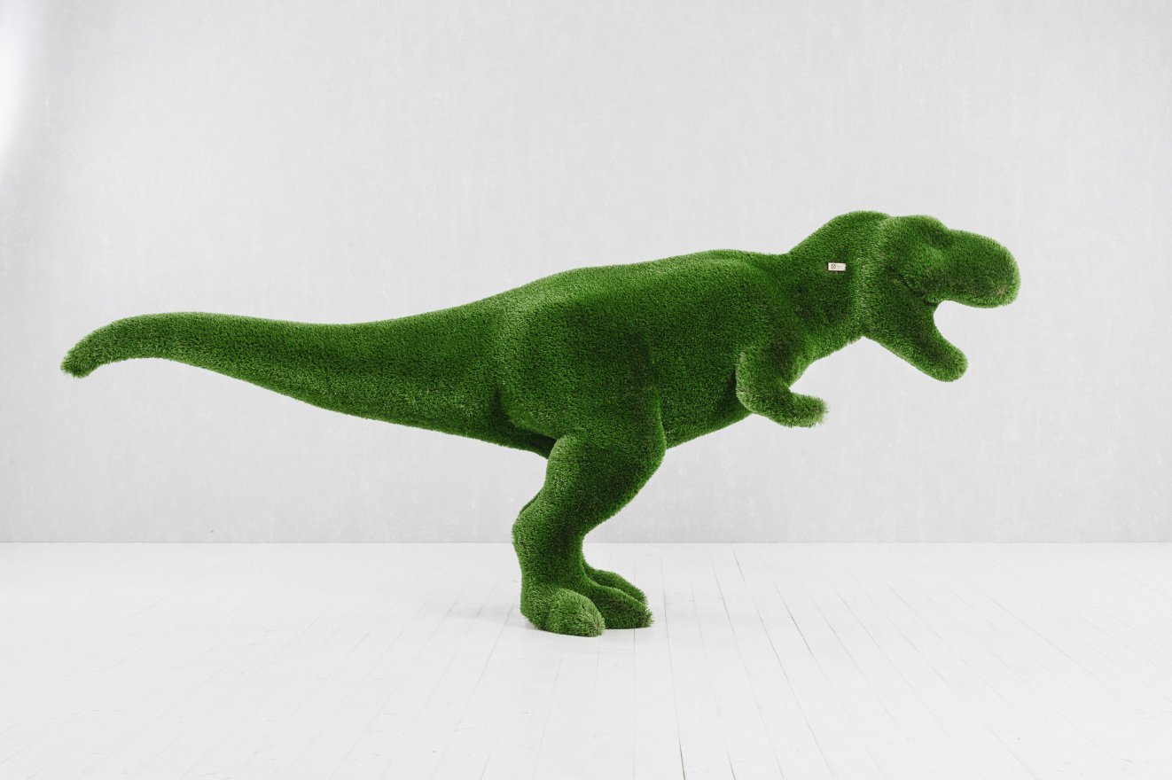 Топиари Тиранозавр - вид 4