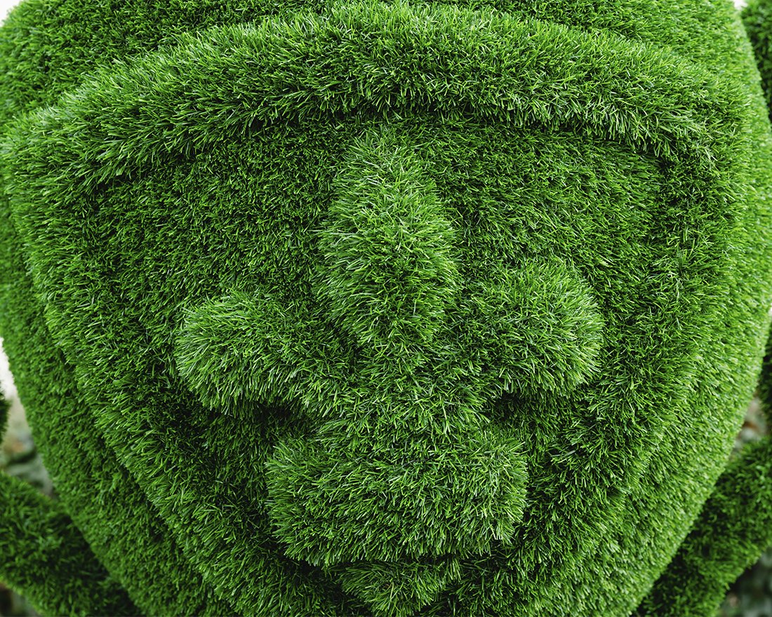 Топиари Вазон с гербом - газон Eco - вид 4