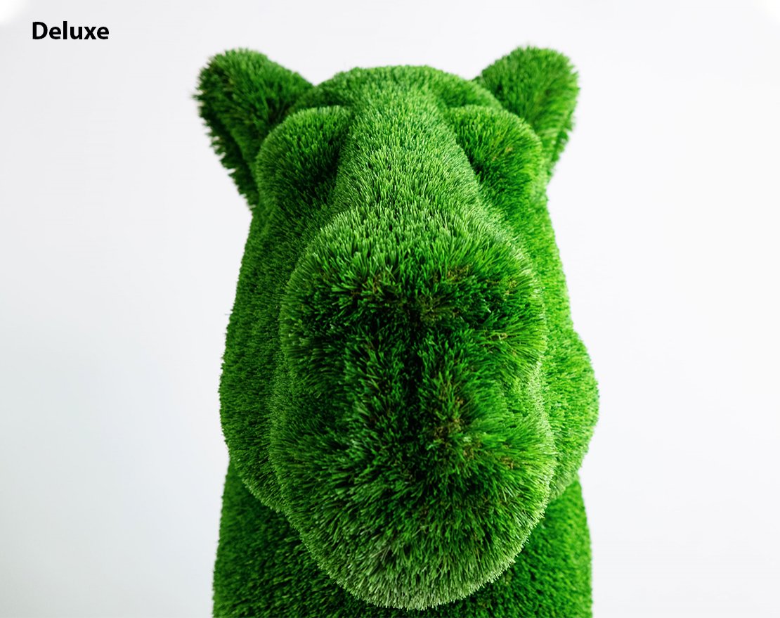 Топиари Верблюд - газон Premium - вид 3