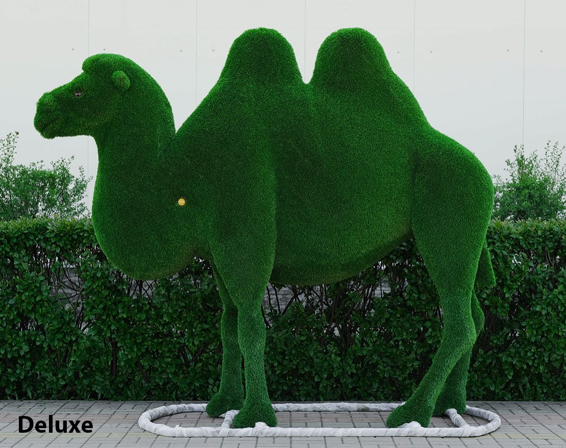 Топиари Верблюд двугорбый - газон Есо - вид 3