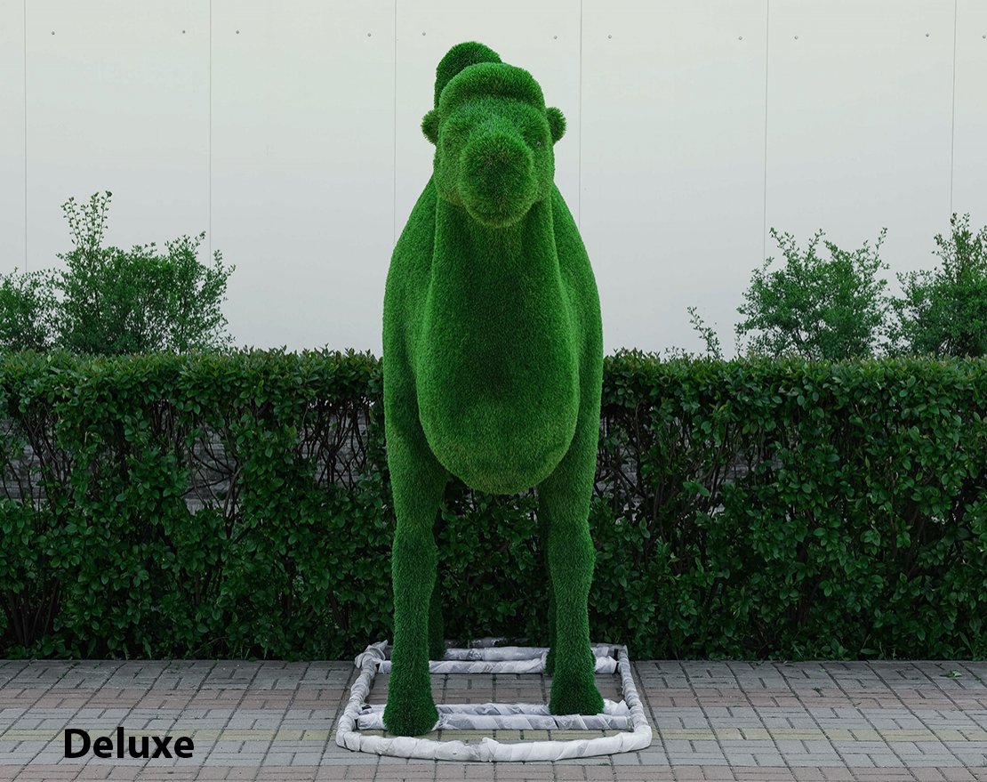 Топиари Верблюд двугорбый - газон Есо - вид 2