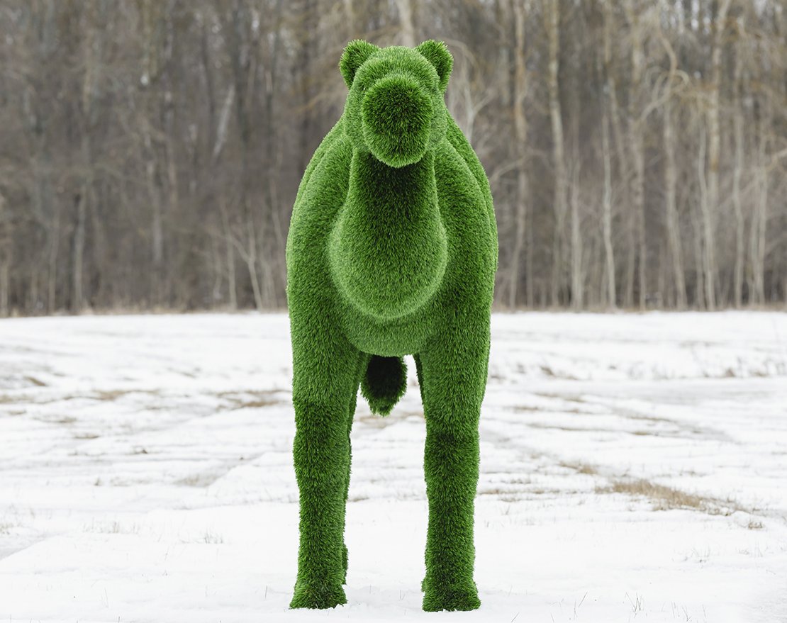 Топиари Верблюд одногорбый - газон Deluxe - вид 4