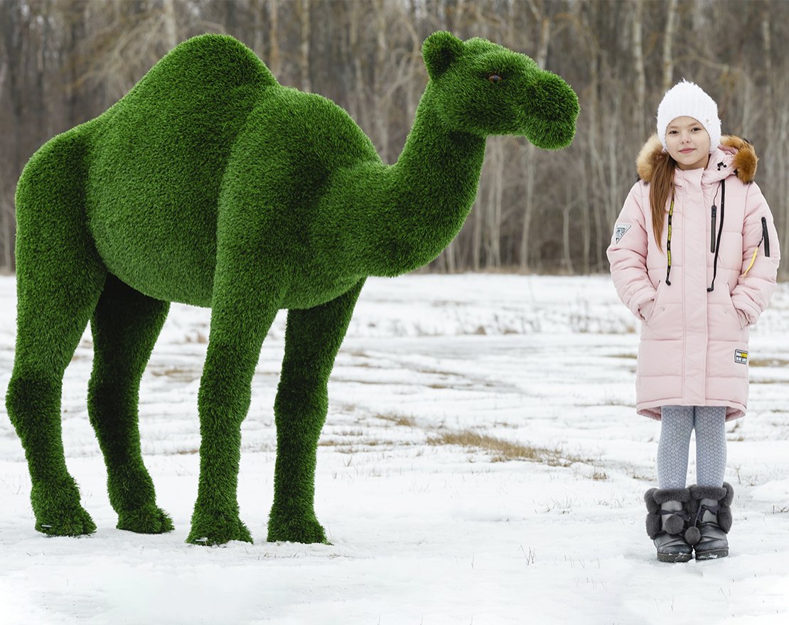 Топиари Верблюд одногорбый - газон Deluxe - вид 2