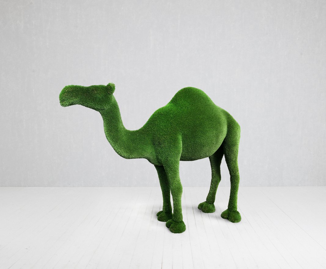 Топиари Верблюд одногорбый - вид 3