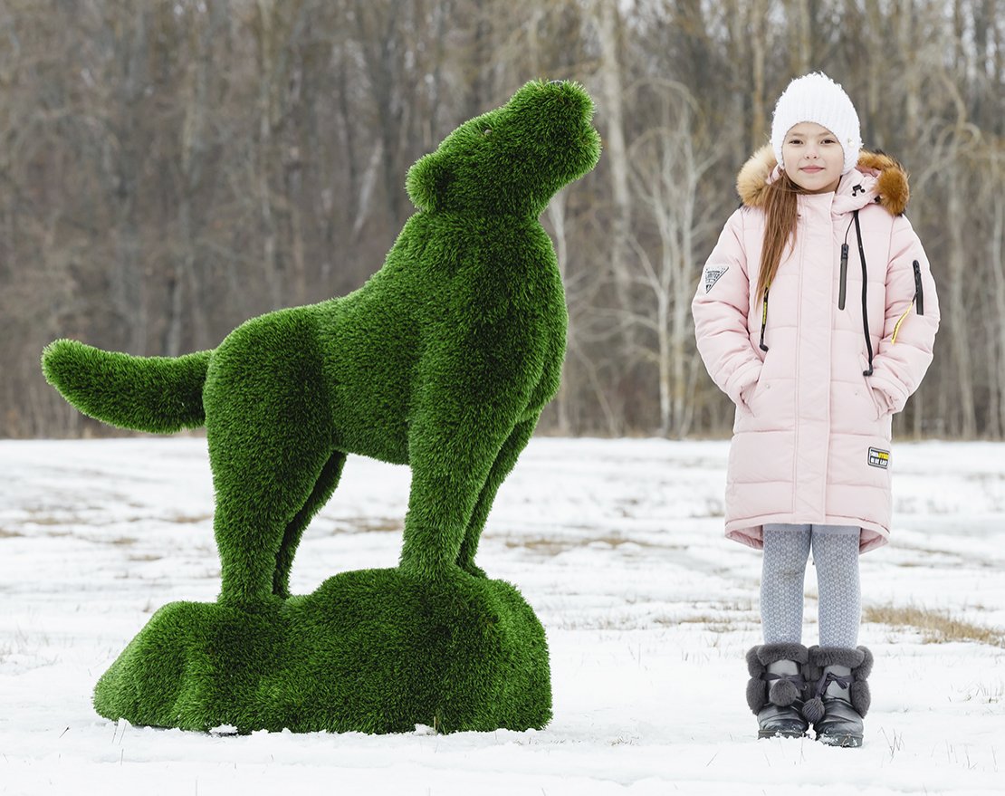 Топиари Волк на камне - газон Deluxe - вид 3