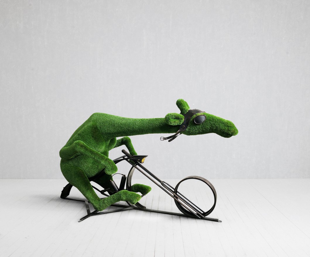 Топиари Жираф байкер - вид 3