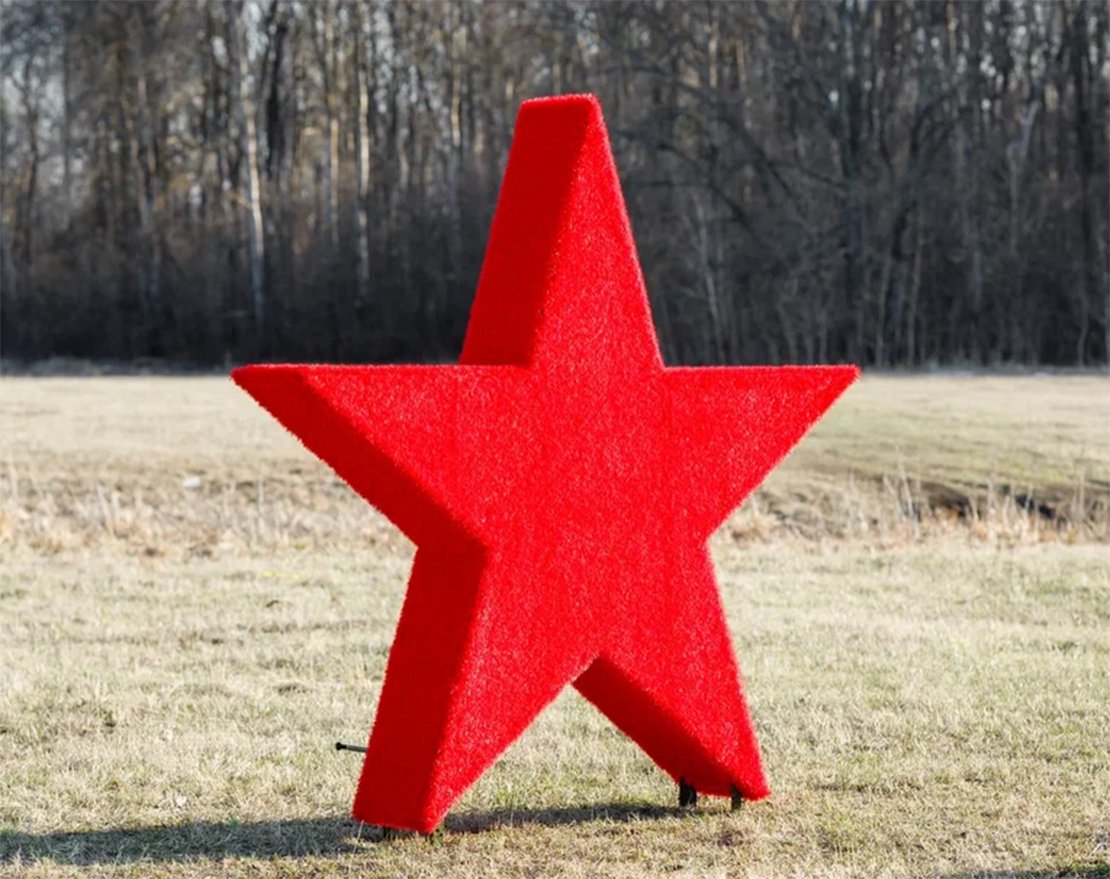 Топиари Звезда - газон Eco - вид 3