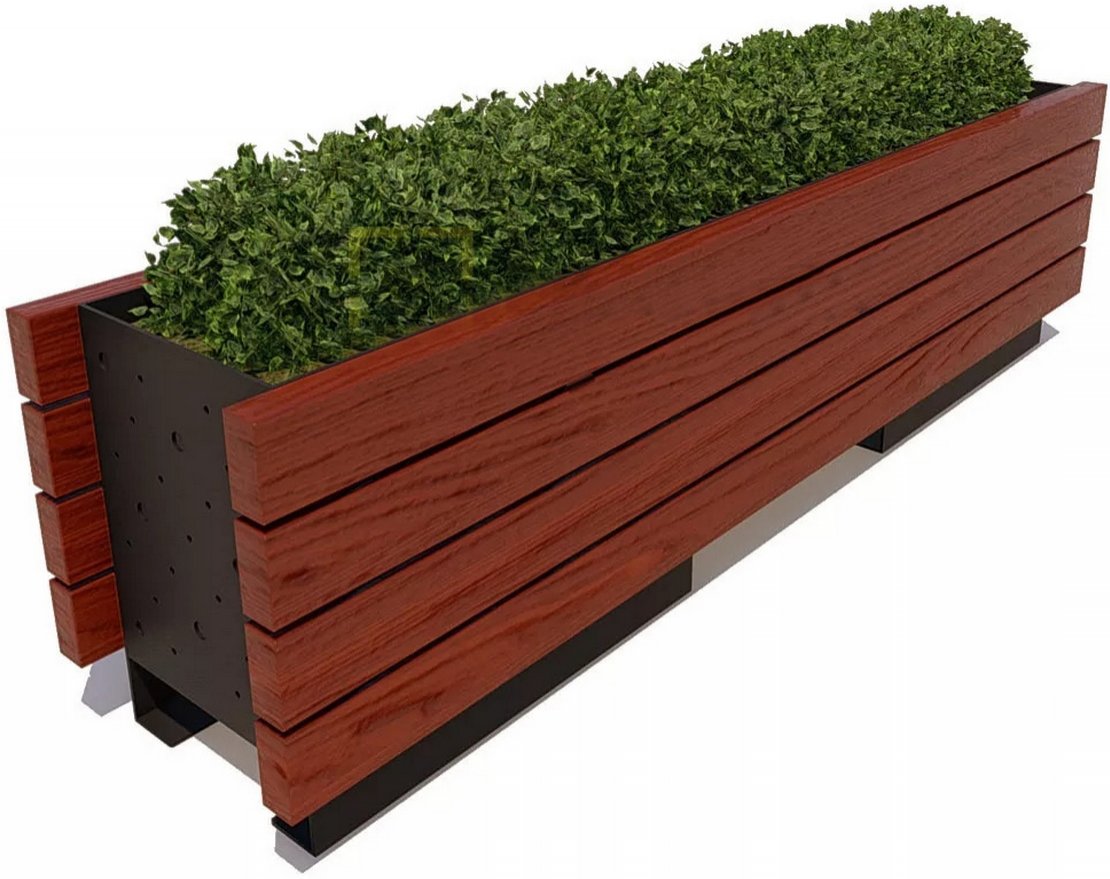 Вазон Бегония - вид 2